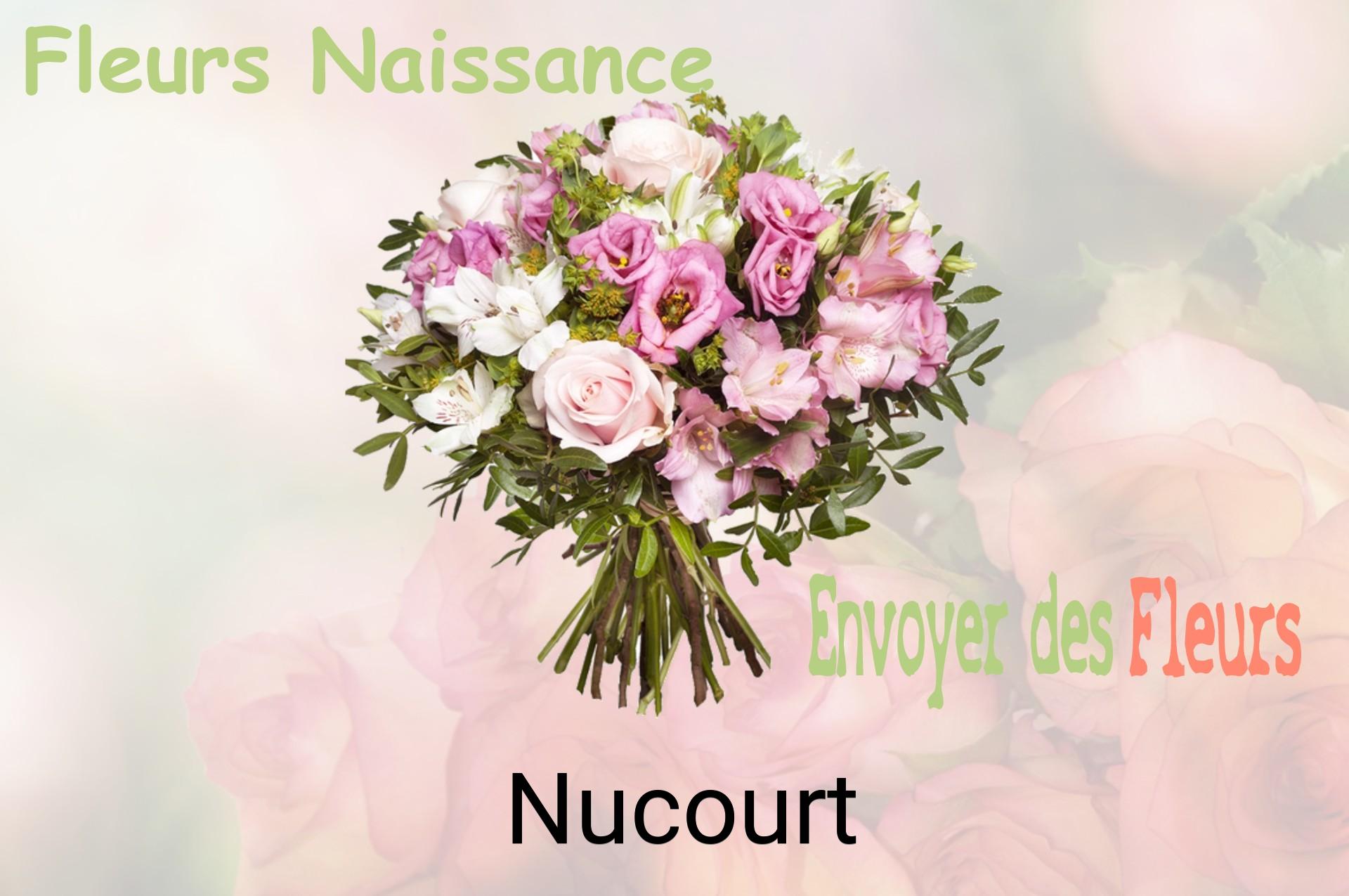Bouquet de fleurs de naissance livré à Nucourt